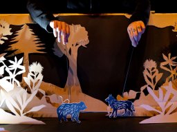 Un animal, des animals